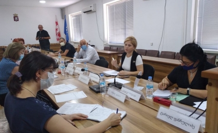 Meeting of the working group in Terjola