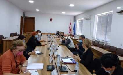 Discussion of the plans at a meeting of the Terjola working group