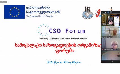 Online Meeting of the Forum for Civil Society Organizations 