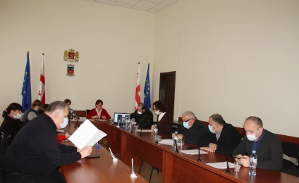 Activity of the working group in Bagdati